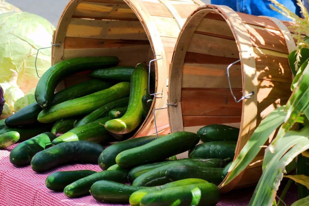 Jackson Hole Farmers Market