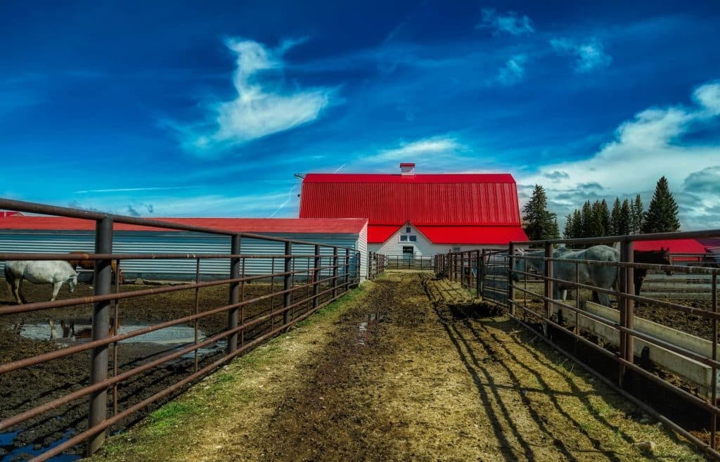Ranching Wyoming