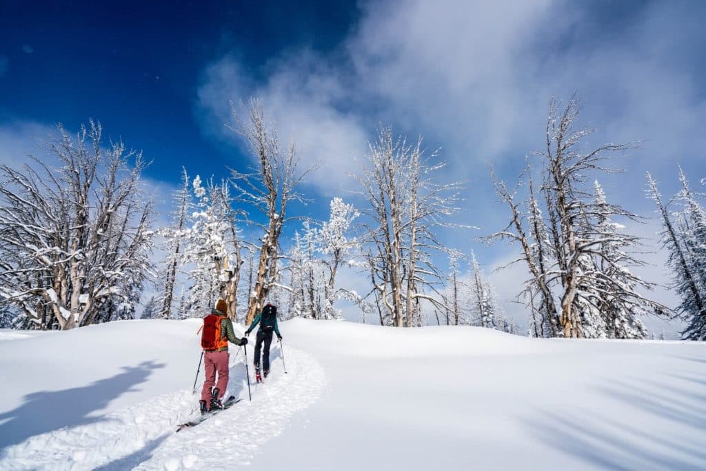 Wyoming Winter