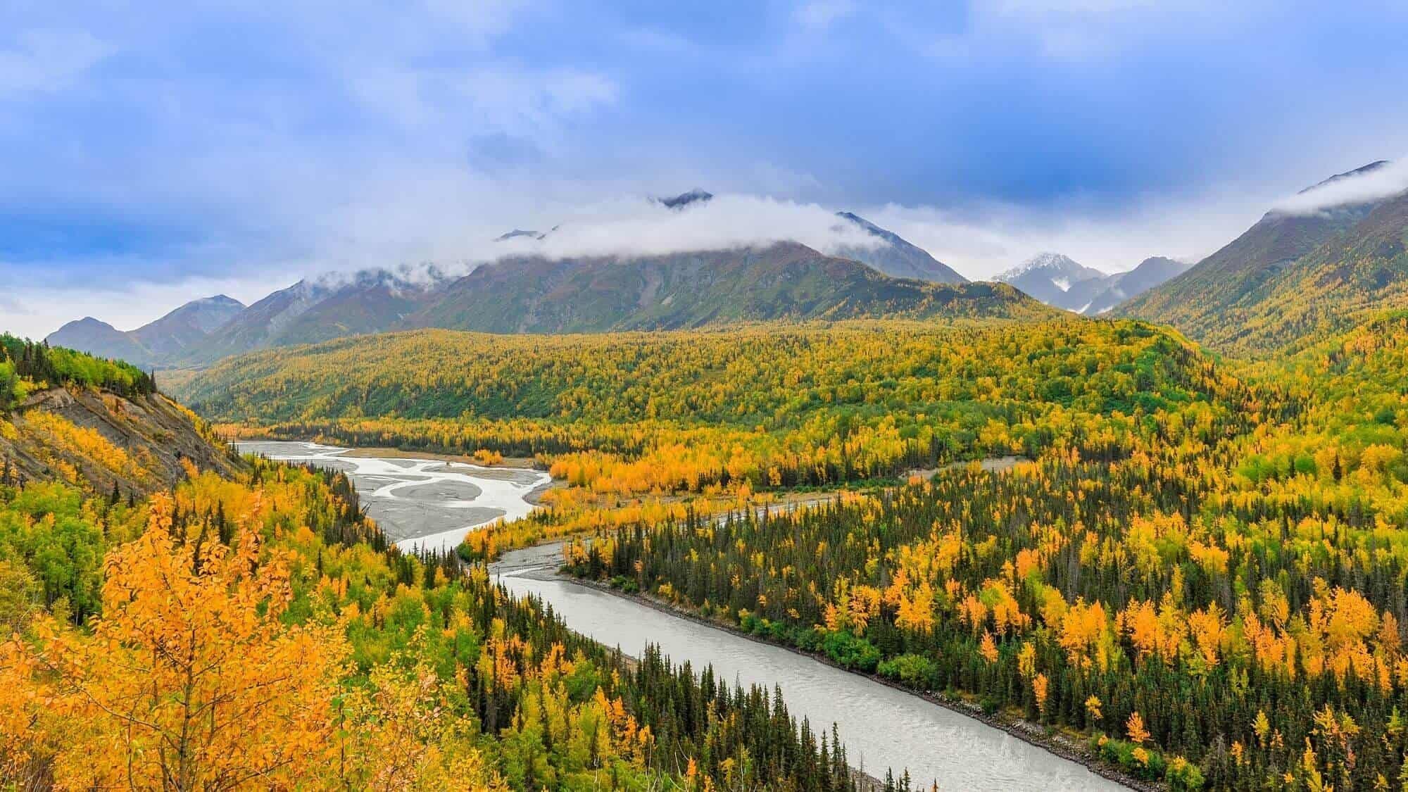 Additional resources background image