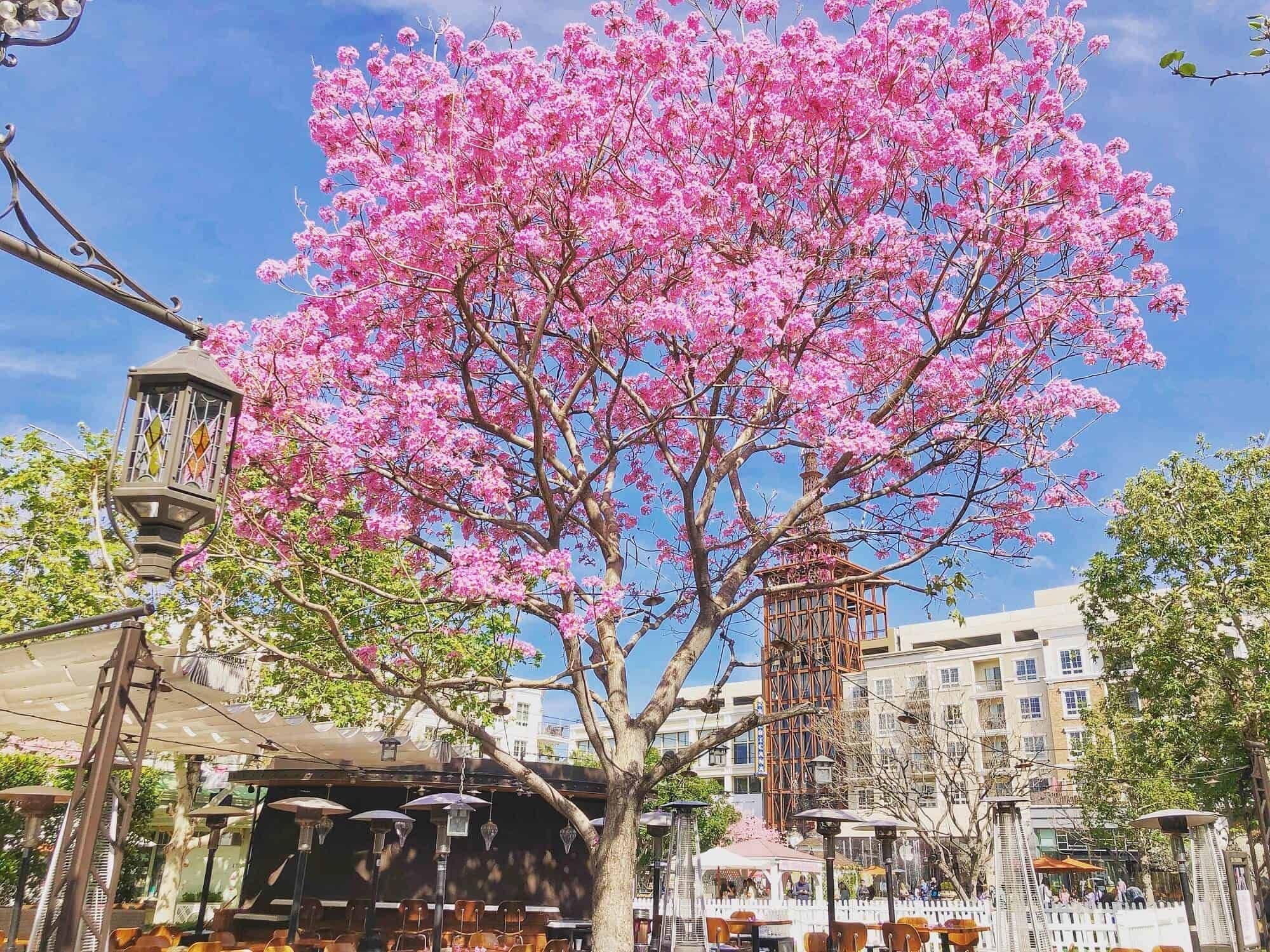 Additional resources background image